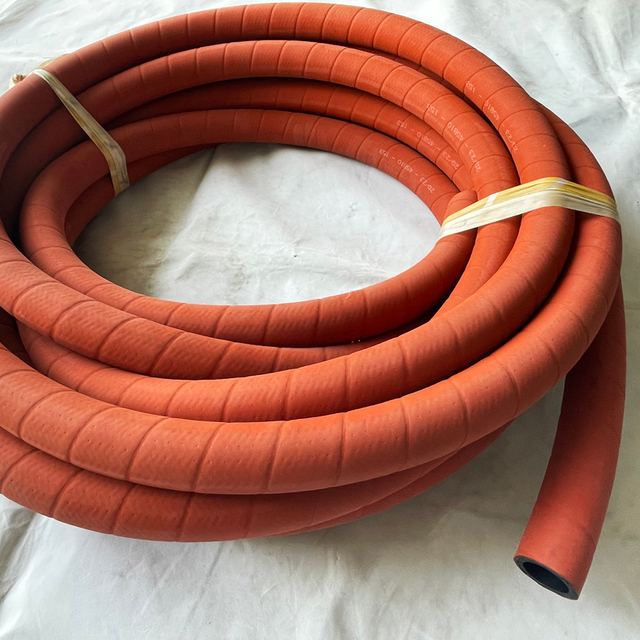 Water & Steam Hose