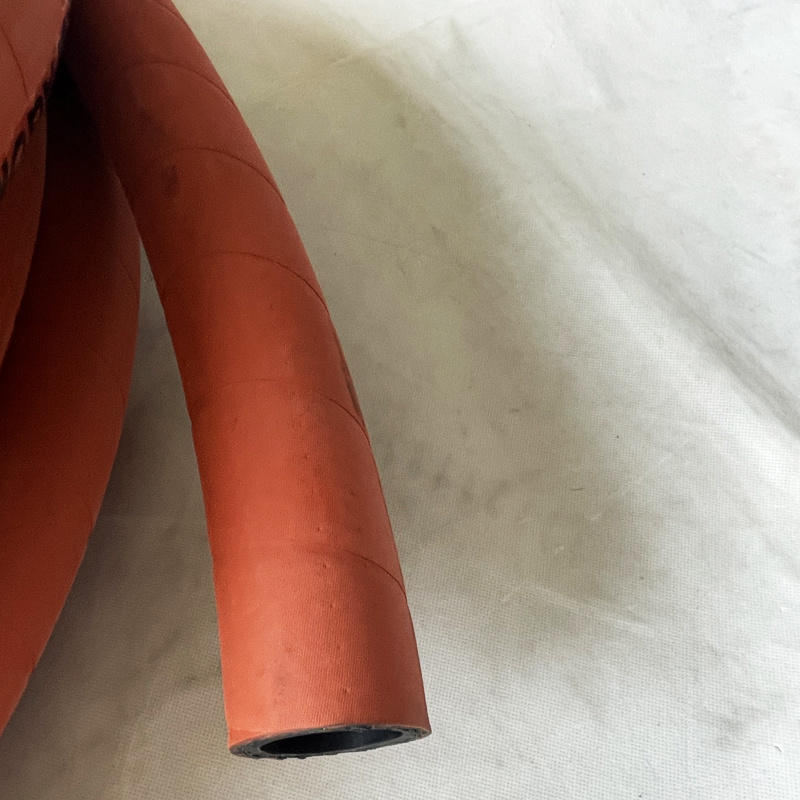 Water & Steam Hose